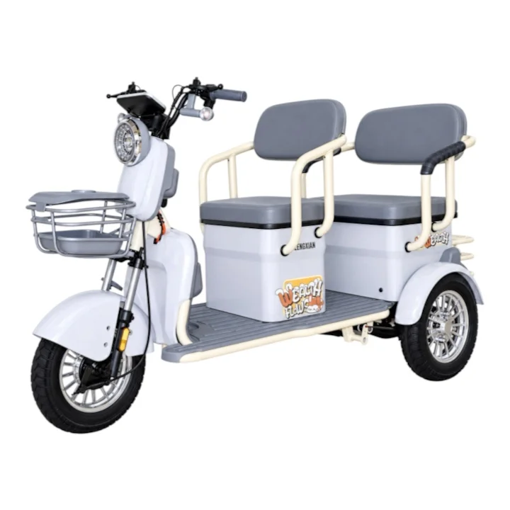 Chenxian H8 48v 20ah 600w Purple Chenxian H8 Mobility Tricycle - 600W 48V 20Ah - Purple - Image 9